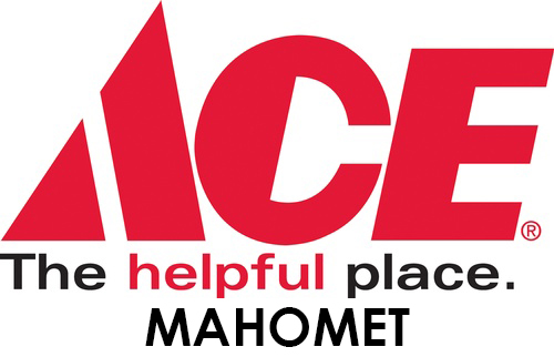 ace-logo.jpg